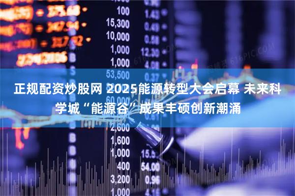 正规配资炒股网 2025能源转型大会启幕 未来科学城“能源谷”成果丰硕创新潮涌